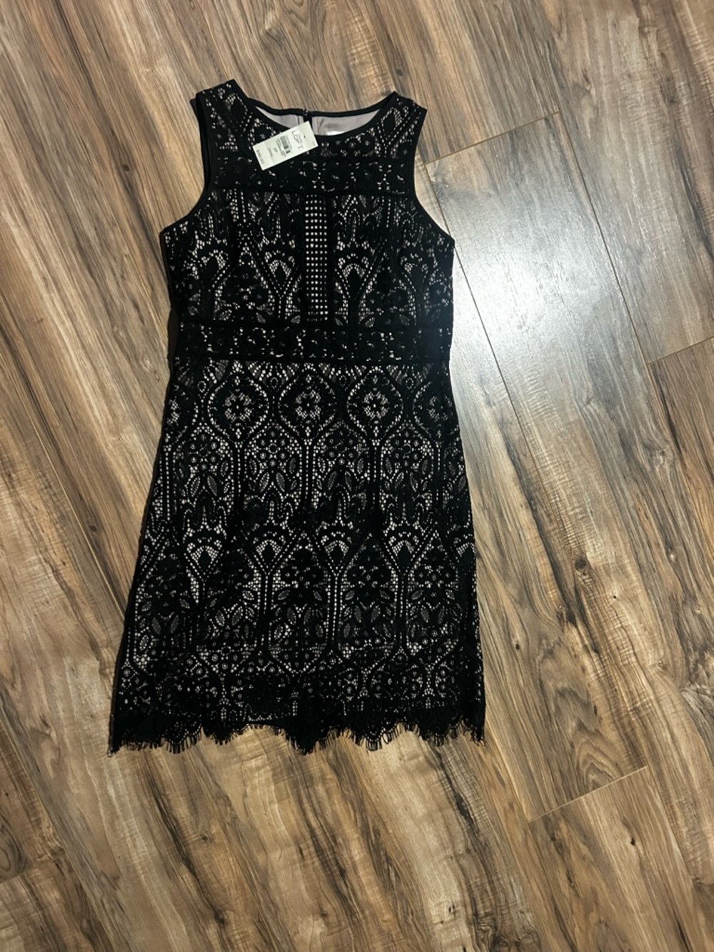LOFT Black Lace Sleeveless Mini Dress